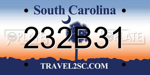 232B31 South Carolina License Plate