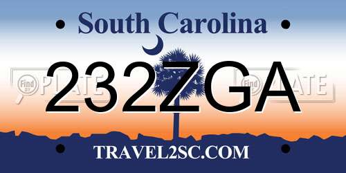 232ZGA South Carolina License Plate