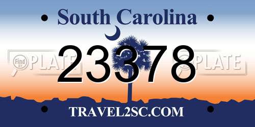 23378 South Carolina License Plate