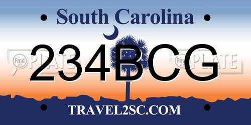 234BCG South Carolina License Plate