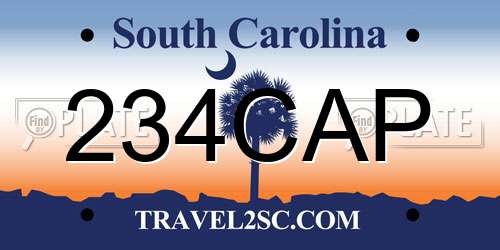 234CAP South Carolina License Plate