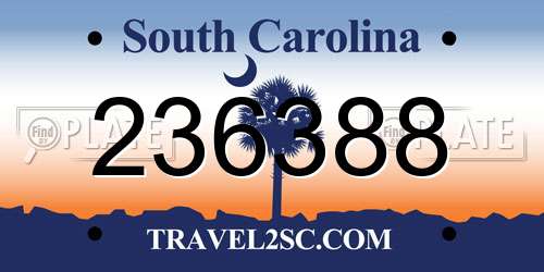 236388 South Carolina License Plate