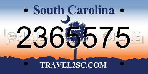 2365575 South Carolina License Plate