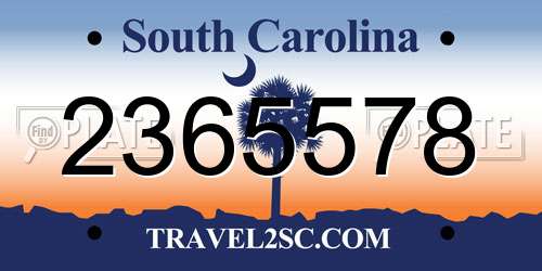2365578 South Carolina License Plate