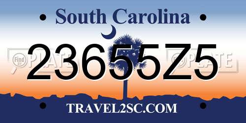 23655Z5 South Carolina License Plate