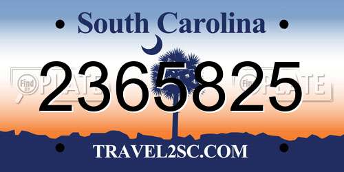 2365825 South Carolina License Plate