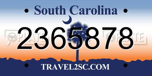 2365878 South Carolina License Plate