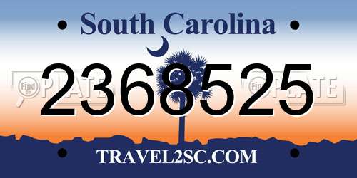 2368525 South Carolina License Plate