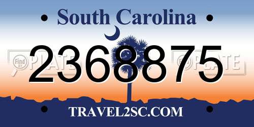 2368875 South Carolina License Plate