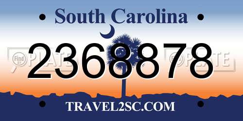 2368878 South Carolina License Plate