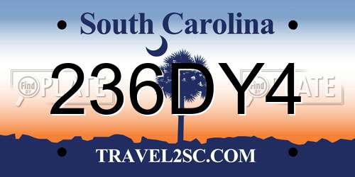 236DY4 South Carolina License Plate