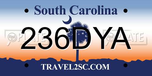 236DYA South Carolina License Plate