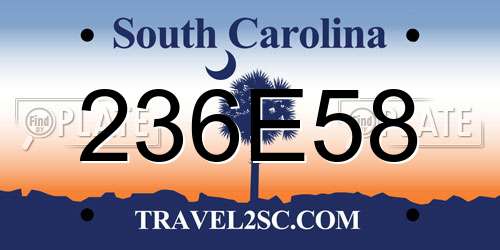 236E58 South Carolina License Plate
