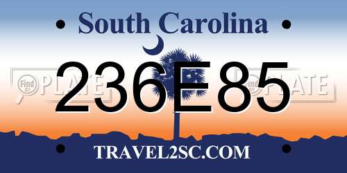 236E85 South Carolina License Plate