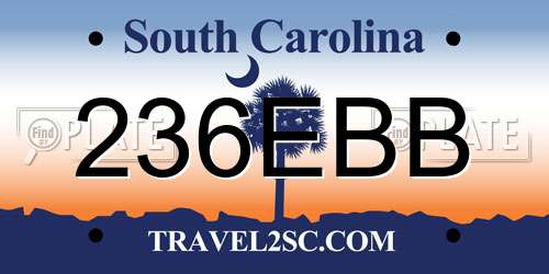 236EBB South Carolina License Plate