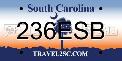 236ESB South Carolina License Plate