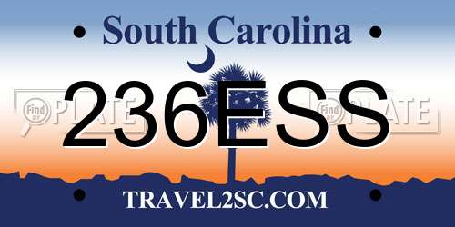 236ESS South Carolina License Plate
