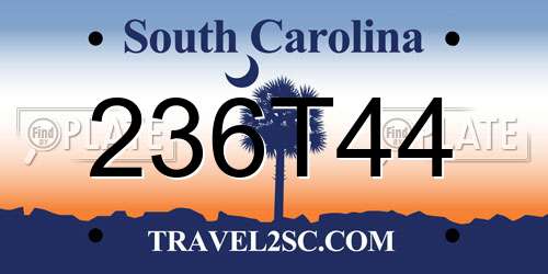 236T44 South Carolina License Plate