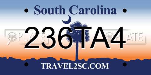 236TA4 South Carolina License Plate