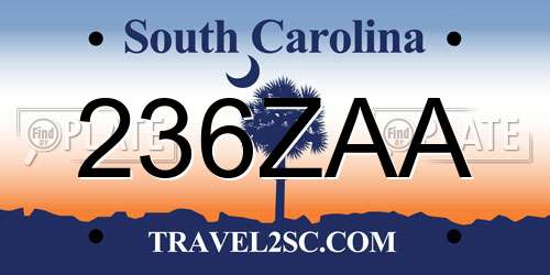 236ZAA South Carolina License Plate