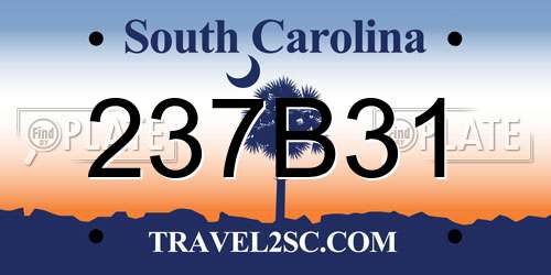 237B31 South Carolina License Plate