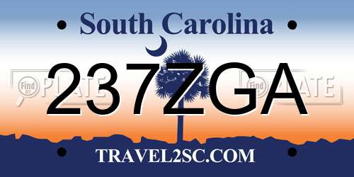 237ZGA South Carolina License Plate
