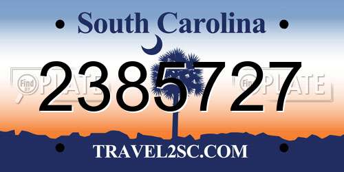 2385727 South Carolina License Plate