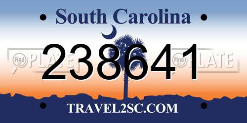 238641 South Carolina License Plate