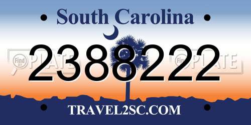 2388222 South Carolina License Plate