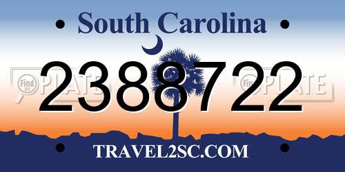 2388722 South Carolina License Plate