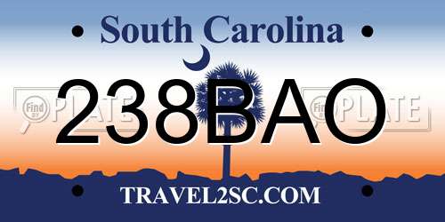 238BAO South Carolina License Plate