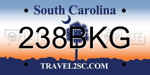 238BKG South Carolina License Plate