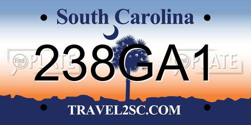 238GA1 South Carolina License Plate