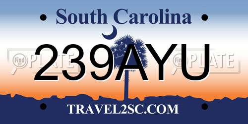239AYU South Carolina License Plate