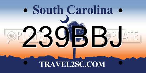 239BBJ South Carolina License Plate