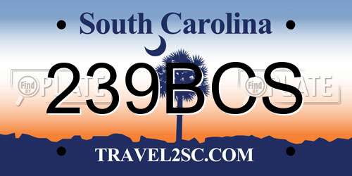 239BCS South Carolina License Plate