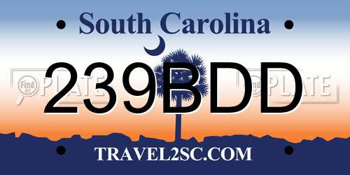 239BDD South Carolina License Plate