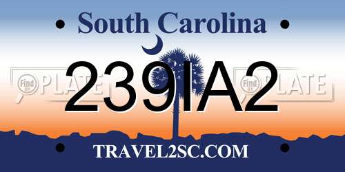 239IA2 South Carolina License Plate
