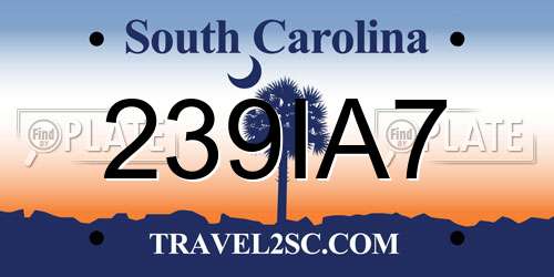 239IA7 South Carolina License Plate
