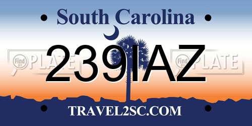 239IAZ South Carolina License Plate