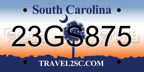 23GS875 South Carolina License Plate