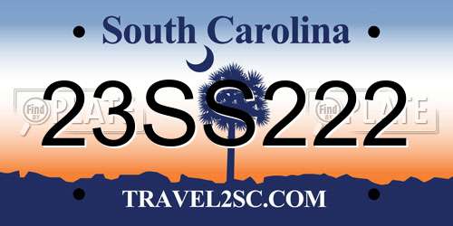 23SS222 South Carolina License Plate