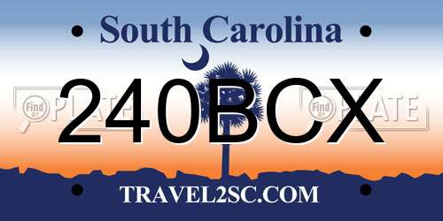 240BCX South Carolina License Plate