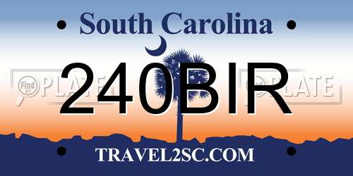 240BIR South Carolina License Plate