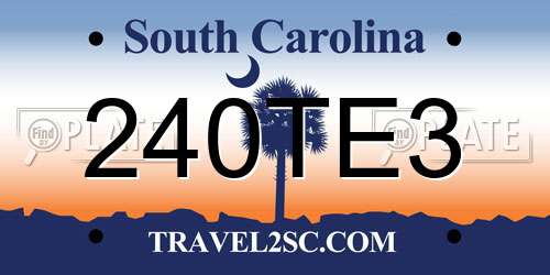 240TE3 South Carolina License Plate