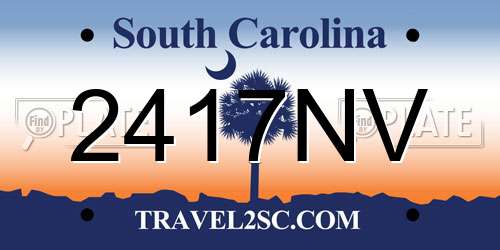 2417NV South Carolina License Plate