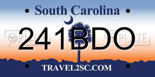 241BDO South Carolina License Plate