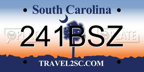 241BSZ South Carolina License Plate
