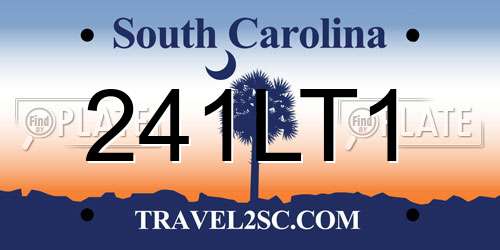 241LT1 South Carolina License Plate