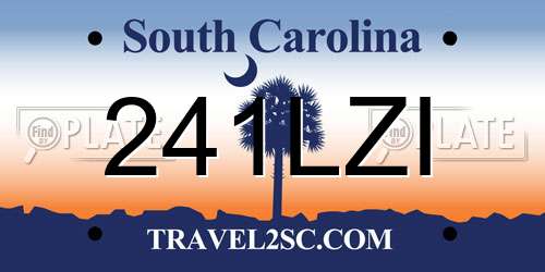 241LZI South Carolina License Plate